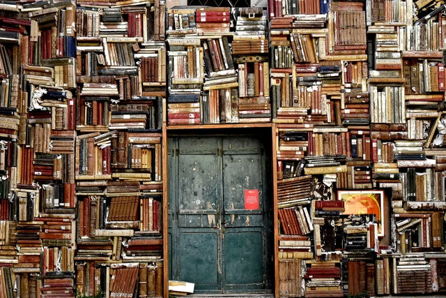 books, shelves, hd wallpaper, wallpaper hd, door, entrance, cool backgrounds, library, desktop backgrounds, mac wallpaper, laptop wallpaper, knowledge, wisdom, 4k wallpaper, civic museum library, international gallery of modern art, windows wallpaper, 4k wallpaper 1920x1080, free wallpaper, pesaro, beautiful wallpaper, free background, full hd wallpaper, wallpaper 4k, italy, background. Comparing asset libraries with full DAM software